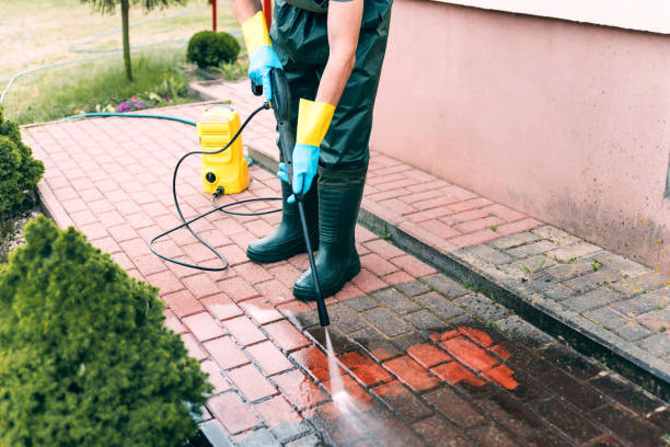 Best Animal Enclosure Cleaning  in Kaser, NY